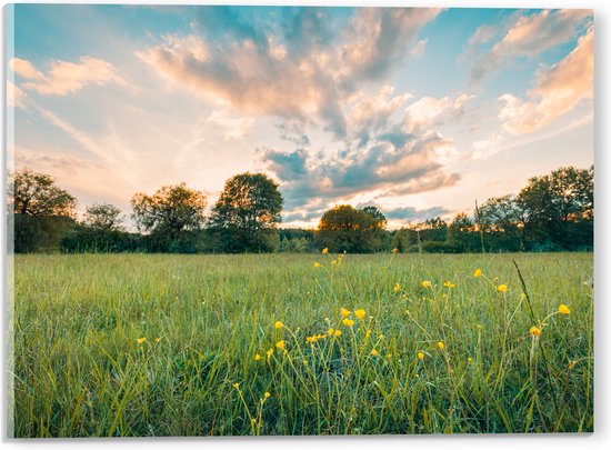 Acrylglas - Zonsondergang onder een Landschap met Gele Bloemen - 40x30 cm Foto op Acrylglas (Met Ophangsysteem)