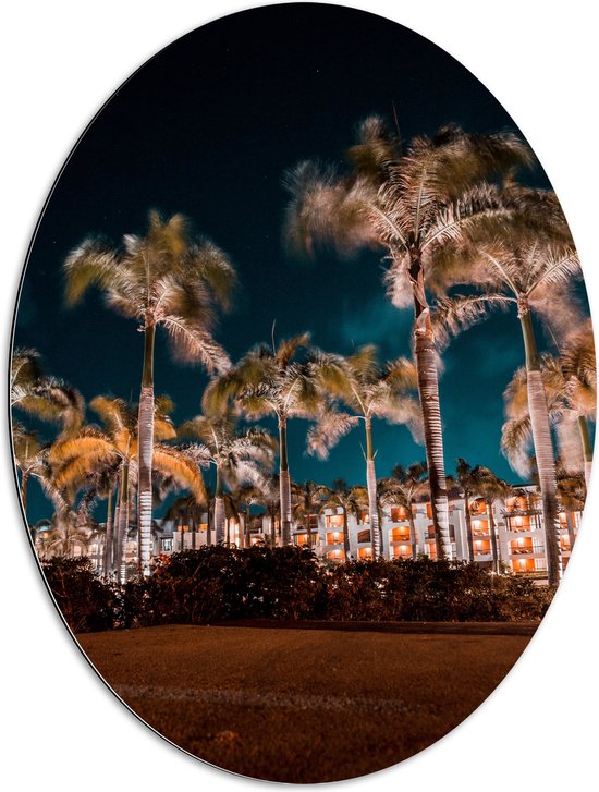 Dibond Ovaal - Verlichte Palmbomen in Nacht - 60x80 cm Foto op Ovaal (Met Ophangsysteem)