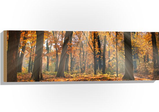 Hout - Bos in de Herfst met Zonnestralen door de Bomen - 90x30 cm - 9 mm dik - Foto op Hout (Met Ophangsysteem)