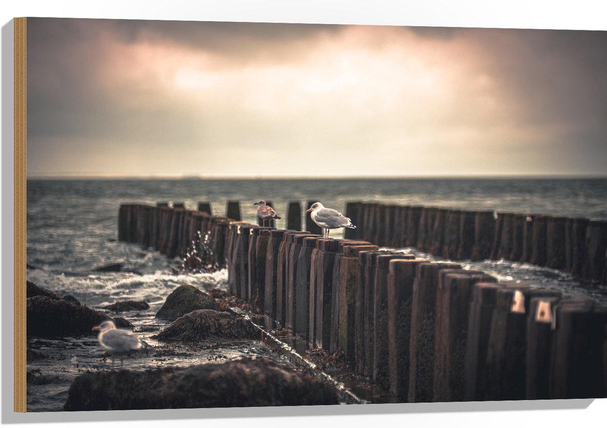 Hout - Meeuwen op Houten Palen bij de Zee - 90x60 cm - 9 mm dik - Foto op Hout (Met Ophang