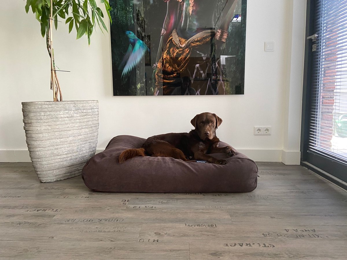 Dog's Companion - Hondenkussen / Hondenbed soft brown chenille velvet - XS - 55x45cm