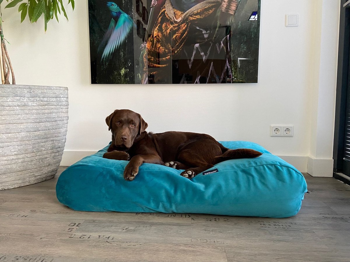 Dog's Companion - Hondenkussen / Hondenbed strong turquoise velvet - XS - 55x45cm
