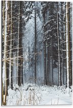 WallClassics - Dibond - Witte Sneeuw op de Bomen - 40x60 cm Foto op Aluminium (Met Ophangsysteem)
