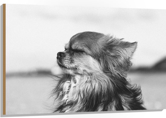 WallClassics - Hout - Hondje Geniet van het Weer Zwart - Wit - 120x80 cm - 9 mm dik - Foto op Hout (Met Ophangsysteem)