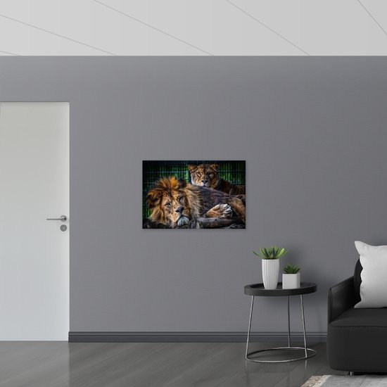 WallClassics - Toile - Lion et Lionne Couchés - 90x60 cm Photo sur Toile Peinture (Décoration murale sur Toile)