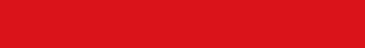 Vlag Dendermonde 120x180cm