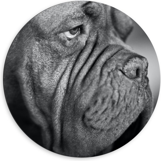 WallClassics - Dibond Muurcirkel - Kwijlende Hond (Zwart- wit) - 60x60 cm Foto op Aluminium Muurcirkel (met ophangsysteem)