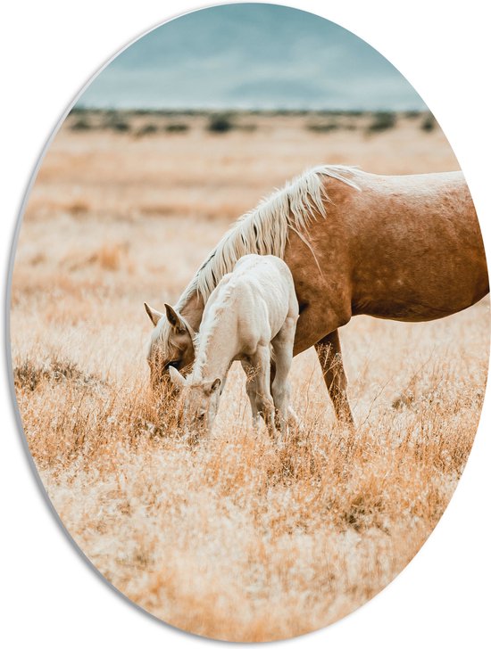 WallClassics - PVC Schuimplaat Ovaal - Bruin Paard met Veulen in de Wei - 42x56 cm Foto op Ovaal (Met Ophangsysteem)