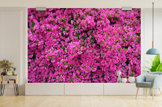 Papier peint photo peint photo vinyle - Azalée buisson largeur 330 cm x hauteur 220 cm - Tirage photo sur papier peint (disponible en 7 tailles)