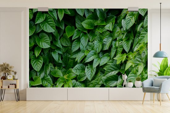 Papier peint Papier peint photo en vinyle - Feuilles vertes largeur 330 cm x hauteur 220 cm - Tirage photo sur papier peint (disponible en 7 tailles)