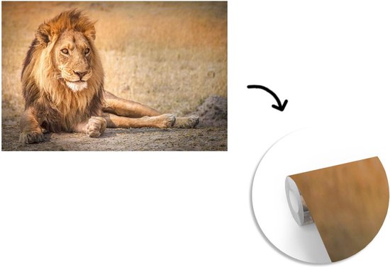 Papier peint - Papier peint photo Papier peint photo - Gros plan - Savane - Largeur 600 cm x hauteur 400 cm
