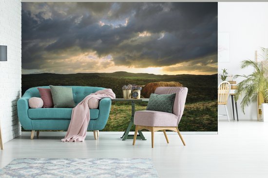 Papier peint Papier peint photo en vinyle - Highlander pendant le coucher du soleil largeur 450 cm x hauteur 300 cm - Tirage photo sur papier peint (disponible en 7 tailles)