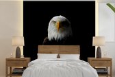 Papier peint photo vinyle - Portrait d'un aigle sur fond noir largeur 280 cm x hauteur 280 cm - Tirage photo sur papier peint (disponible en 7 tailles)