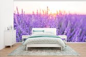 Behang - Fotobehang Lavendel - Close-up - Paars - Bloemen - Breedte 535 cm x hoogte 300 cm