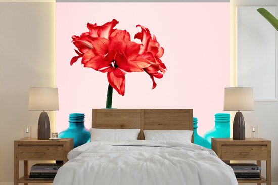Fleurs d'Amaryllis rouges dans un vase bleu 240x240 cm