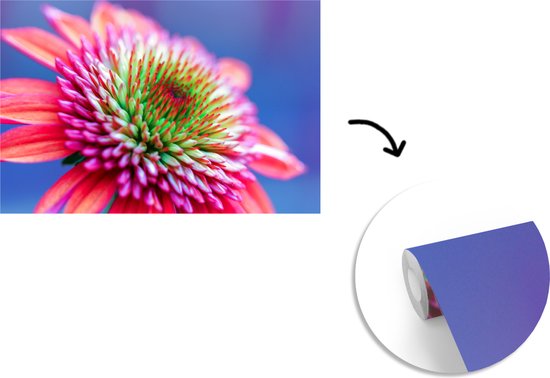 Image macro d'une fleur rose et violette avec un coeur rouge et vert 330x220 cm