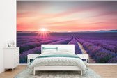 Behang - Fotobehang Lavendel - Paars - Bloemen - Lucht - Breedte 295 cm x hoogte 220 cm