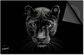 Protecteur induction 60x60 - Couvercle tapis induction - Dietrix Plaque de protection - DELUXE - Animaux - Black Panther