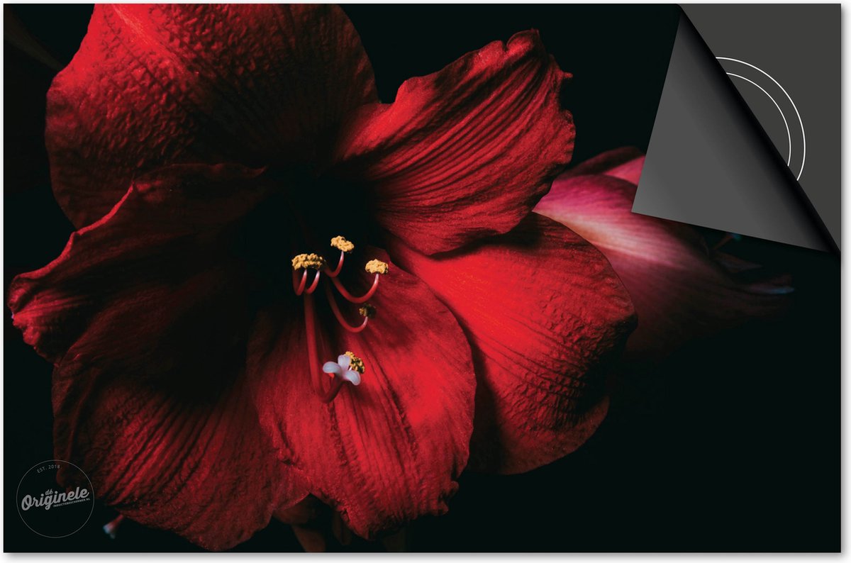 Inductie beschermer 60x60 - afdekplaat inductie mat - Dietrix Kookplaat beschermer - DELUXE - Bloemen en Planten - Orchidee rood