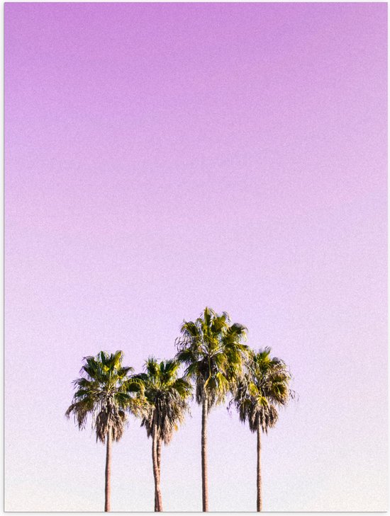 Poster Glanzend – Vier Hoge Smalle Palmbomen op Pastelroze Achtergrond - 75x100 cm Foto op Posterpapier met Glanzende Afwerking