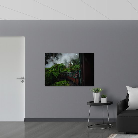 WallClassics - Verre acrylique - Train à vapeur dans la jungle - Photo 120 x 80 cm sur verre acrylique (Décoration murale sur acrylique)