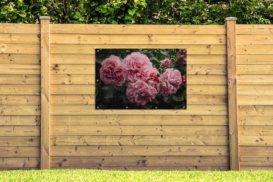 Affiche de jardin rose - Fleurs - Roses - 130x80 cm - Décoration murale extérieure - Affiche de jardin - Toile de jardin - Affiche de clôture - Peinture de jardin