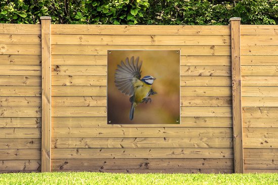 Affiche de jardin Mésange en volant 100x100 cm - Toile de jardin / Toile d'extérieur / Peintures d'extérieur (décoration de jardin)