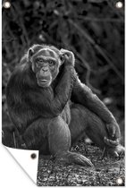 Tuinposters buiten Dierenprofiel zittende chimpansee in zwart-wit - 60x90 cm - Tuindoek - Buitenposter