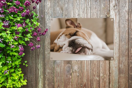 Bulldog anglais dort sur le canapé Affiche de jardin 60x40 cm - petit - Toile de jardin / Toile d'extérieur / Peintures pour l'extérieur (décoration de jardin)