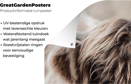 Poster de jardin Highlander écossais - Vache - Fourrure - 40x80 cm - Décoration murale Outdoor - Poster de jardin - Toile de jardin - Poster de clôture - Tableau de jardin