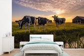 Papier peint - Papier peint photo Vache - Animal - Pâturage - Largeur 390 cm x hauteur 260 cm