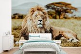 Behang - Fotobehang Leeuwen - Wild - Afrika - Breedte 360 cm x hoogte 240 cm