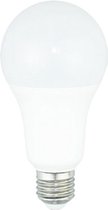 Diolamp 12V DC LED E27 - 10W (90W) - Daglicht - Niet Dimbaar