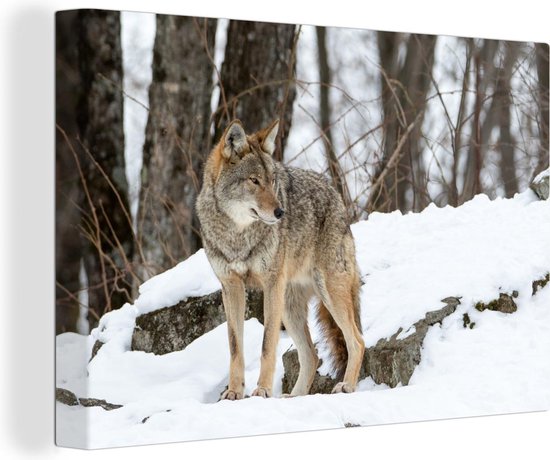 Canvas Schilderij Wolf - Sneeuw - Bos - Wanddecoratie