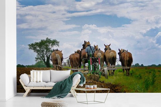 Papier peint photo vinyle - Un fermier amish laboure sa terre avec des chevaux de largeur 405 cm x hauteur 260 cm - Tirage photo sur papier peint (disponible en 7 tailles)