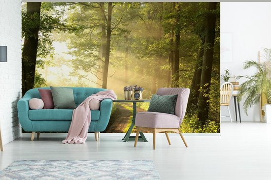 Papier peint - Papier peint photo Forêt - Soleil - Arbres - Largeur 420 cm x hauteur 280 cm