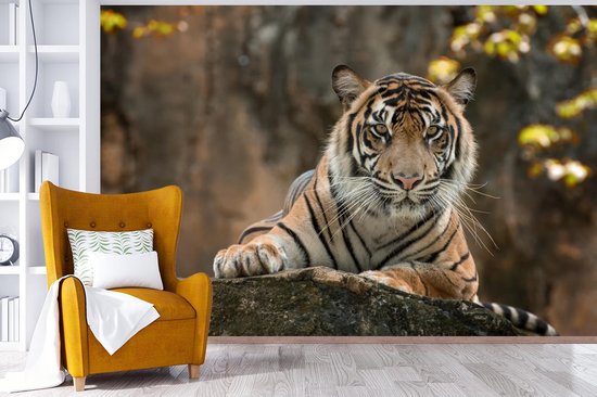 Papier Peint - Papiers Papier peint photo Tigre - Rochers - Feuilles - Largeur 420 cm x Hauteur 280 cm