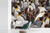Behang - Fotobehang Een groep pinguïns staat beschermend om hun jongen heen - Breedte 385 cm x hoogte 280 cm