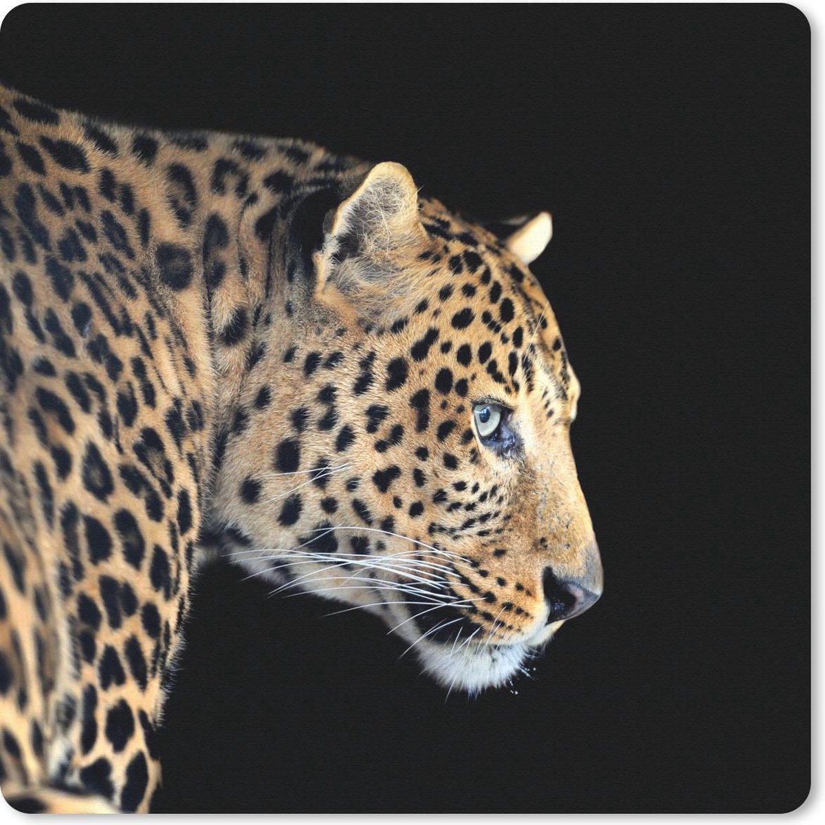 Muismat 20x20 cm - Mousepad Luipaard - Dieren - Zwart - Muismatten