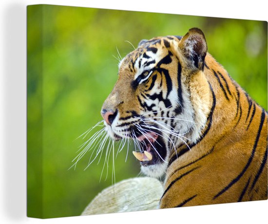 Roaring Tiger Canvas 180x120 cm - Tirage photo sur toile (Décoration murale salon / chambre) / Animaux Peintures sur toile XXL / Groot format!