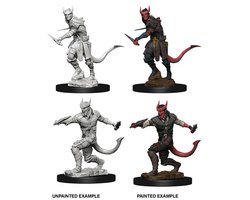 Rogue Rogue D&D Miniatures Tiefling Male - EN