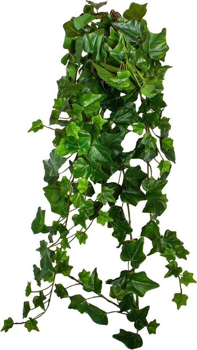 HTT Decorations Kunstplant Hedera groen L80 cm kunstplanten
