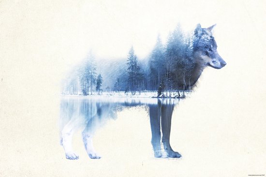 Poster - Forest Wolf - 61 X 91.5 Cm - Multicolor