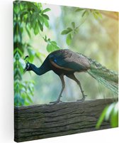 Artaza Toile Peinture Paon Marche Sur Une Branche Dans La Nature - 40x40 - Klein - Image Sur Toile - Impression Sur Toile