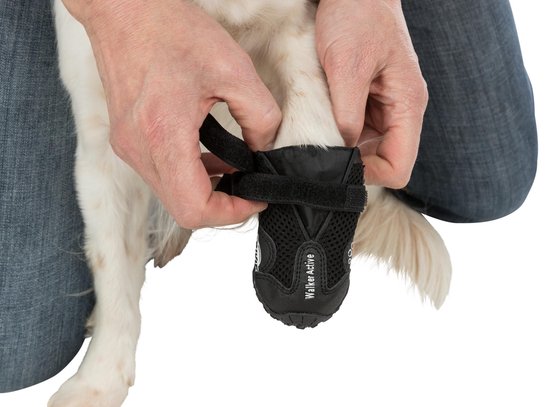 Handen doen een zwarte 'Walker Active' hondenschoen aan bij een witte hond.