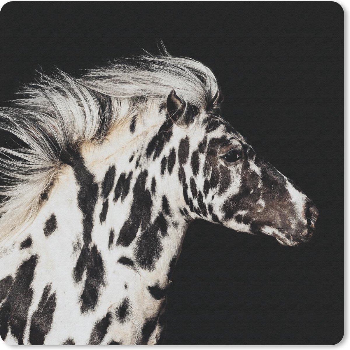 Muismat 20x20 cm - Mousepad Paard - Stippen - Dier - Muismatten