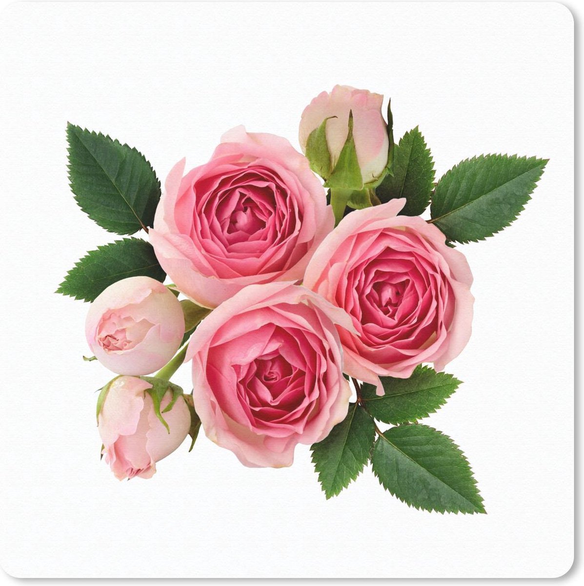 Muismat 30x30 cm - Mousepad Bloemen - Rozen - Roze - Muismatten