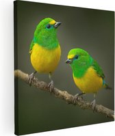 Artaza Canvas Schilderij Twee Groen Gele Zangvogels Op Een Tak - 60x60 - Foto Op Canvas - Canvas Print