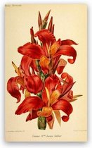 Antique Flowers Bloemen Print Poster Wall Art Kunst Canvas Printing Op Papier Living Decoratie 60X120cm Multi-color