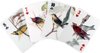 Afbeelding van het spelletje 3D-speelkaarten vogels 62 x 88 mm papier 54-delig